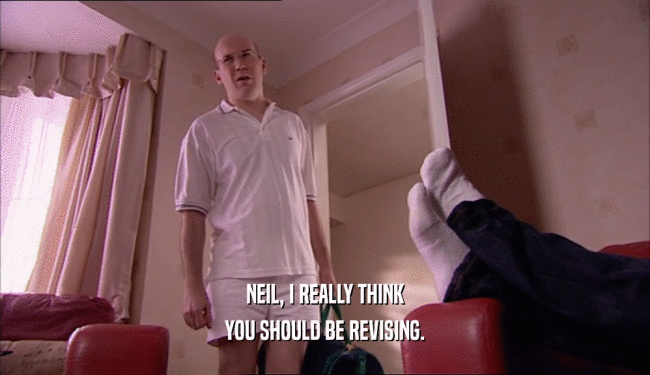 NEIL, I REALLY THINK
 YOU SHOULD BE REVISING.
 