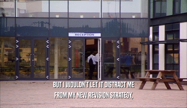 BUT I WOULDN'T LET IT DISTRACT ME FROM MY NEW REVISION STRATEGY, 