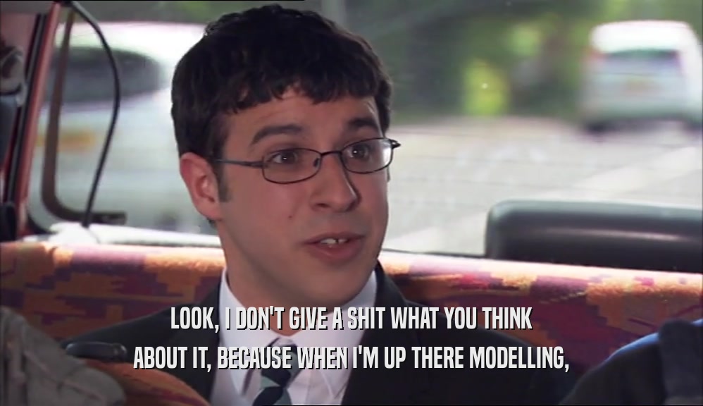 LOOK, I DON'T GIVE A SHIT WHAT YOU THINK ABOUT IT, BECAUSE WHEN I'M UP THERE MODELLING, 