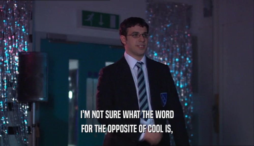 I'M NOT SURE WHAT THE WORD FOR THE OPPOSITE OF COOL IS, 