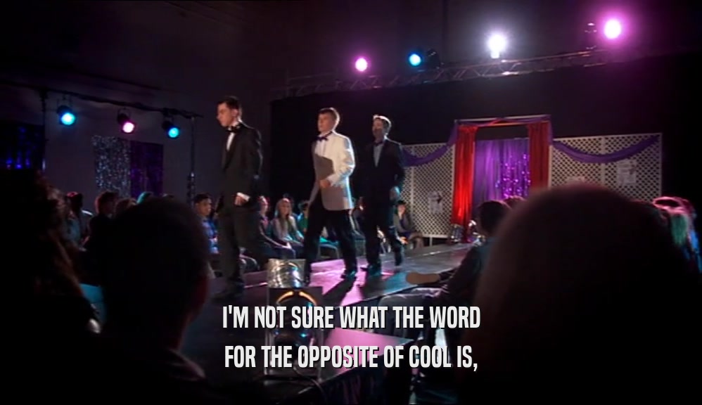 I'M NOT SURE WHAT THE WORD FOR THE OPPOSITE OF COOL IS, 