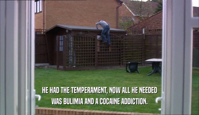 HE HAD THE TEMPERAMENT, NOW ALL HE NEEDED WAS BULIMIA AND A COCAINE ADDICTION. 