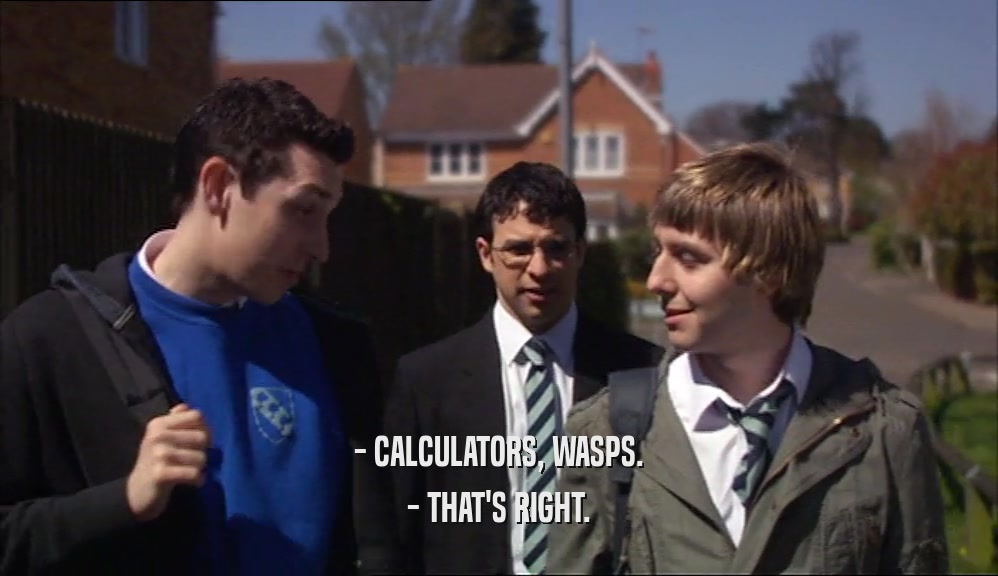 - CALCULATORS, WASPS. - THAT'S RIGHT. 