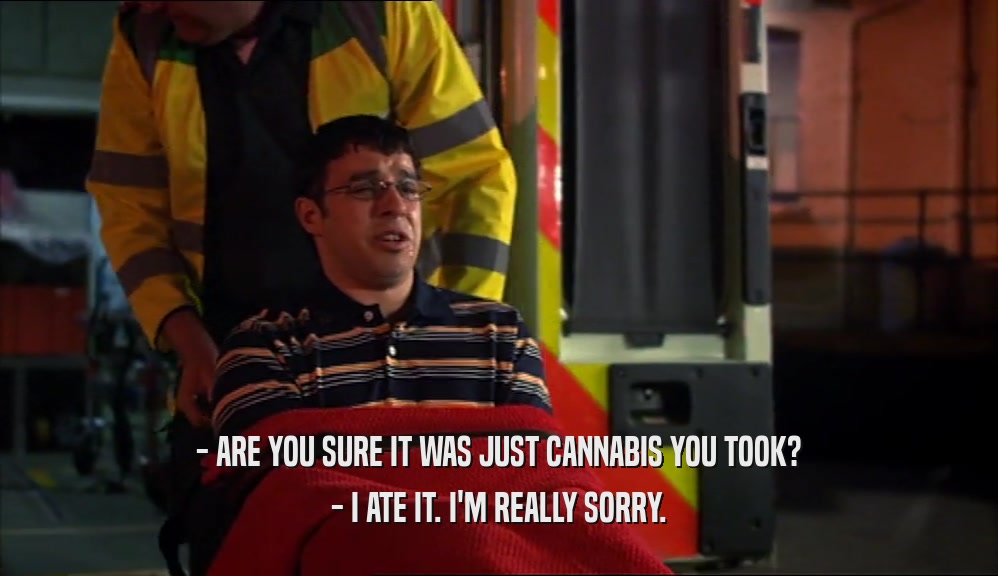 - ARE YOU SURE IT WAS JUST CANNABIS YOU TOOK? - I ATE IT. I'M REALLY SORRY. 