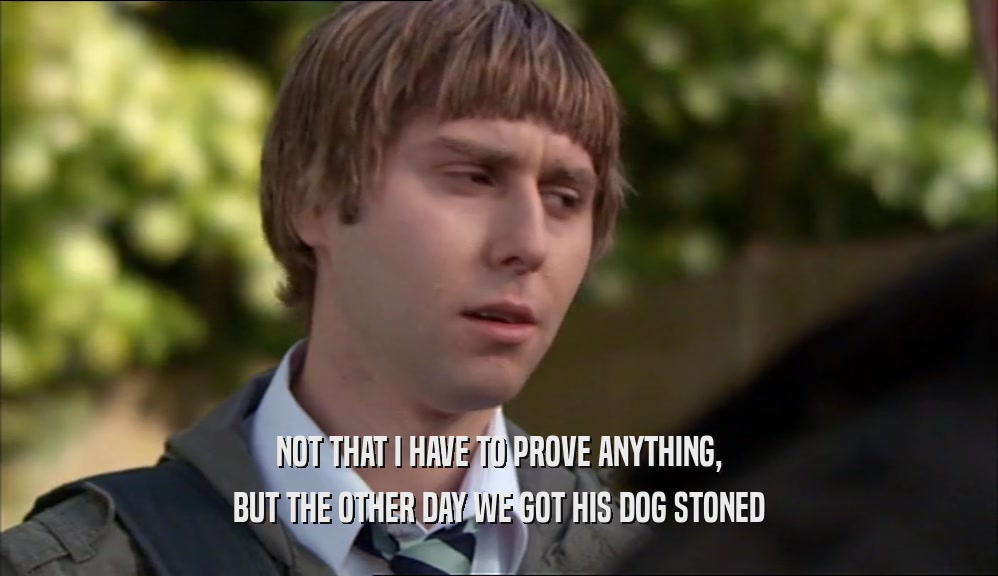 NOT THAT I HAVE TO PROVE ANYTHING, BUT THE OTHER DAY WE GOT HIS DOG STONED 