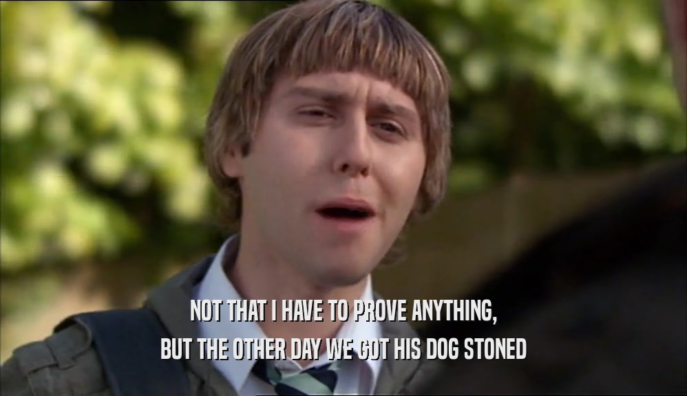 NOT THAT I HAVE TO PROVE ANYTHING, BUT THE OTHER DAY WE GOT HIS DOG STONED 