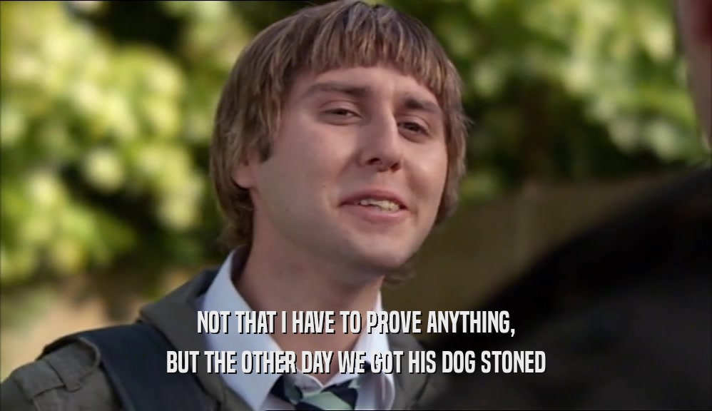 NOT THAT I HAVE TO PROVE ANYTHING, BUT THE OTHER DAY WE GOT HIS DOG STONED 
