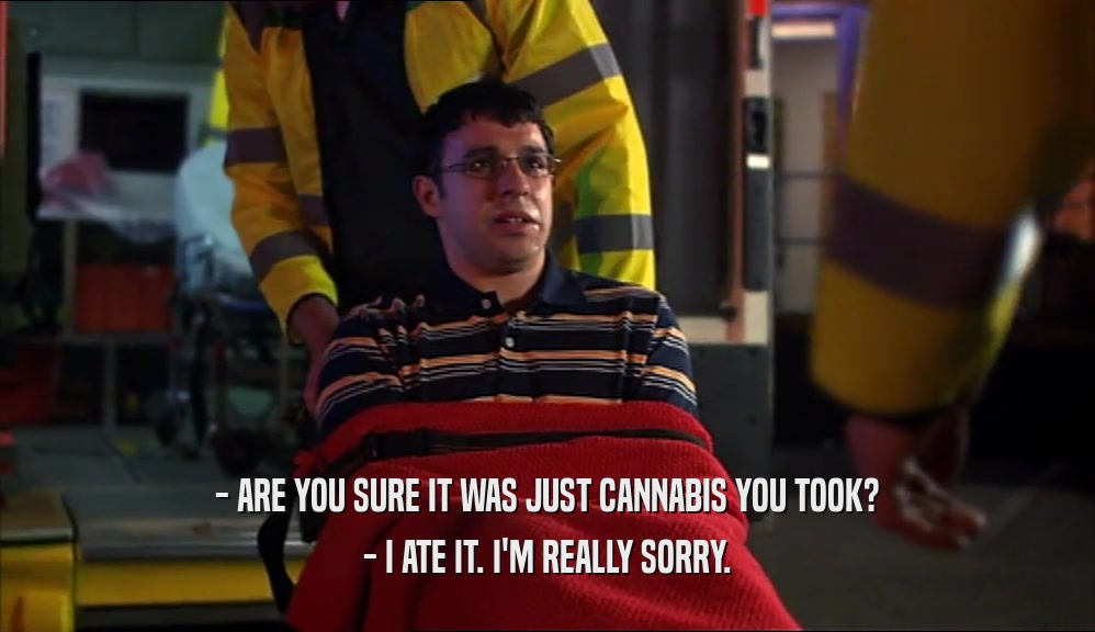 - ARE YOU SURE IT WAS JUST CANNABIS YOU TOOK? - I ATE IT. I'M REALLY SORRY. 