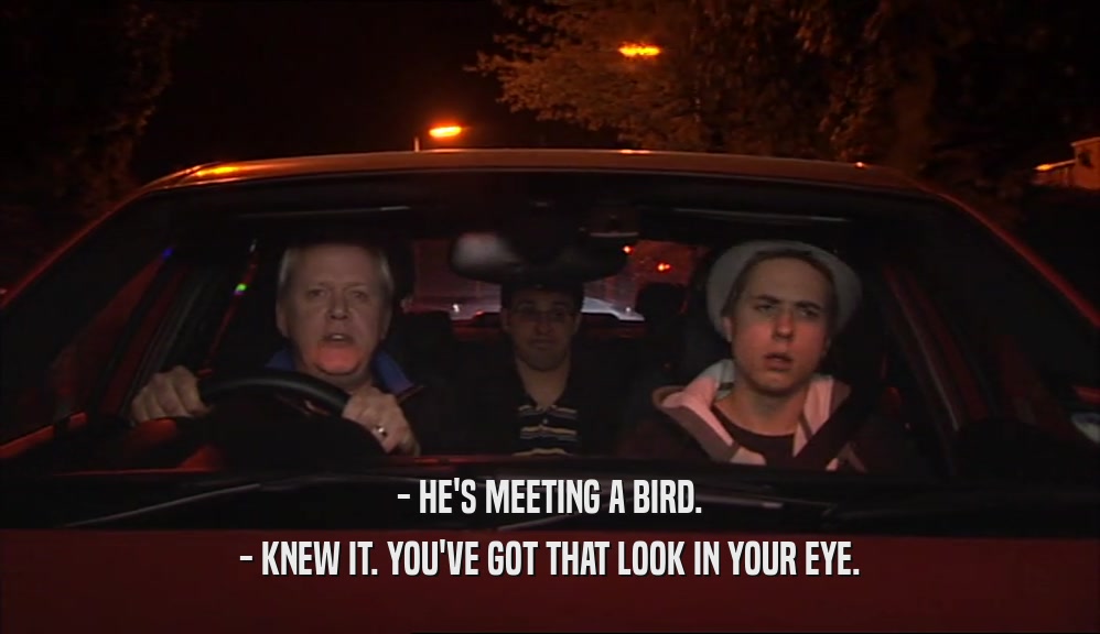 - HE'S MEETING A BIRD.
 - KNEW IT. YOU'VE GOT THAT LOOK IN YOUR EYE.
 