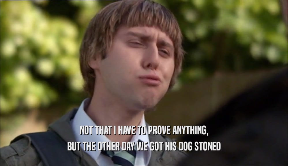 NOT THAT I HAVE TO PROVE ANYTHING, BUT THE OTHER DAY WE GOT HIS DOG STONED 