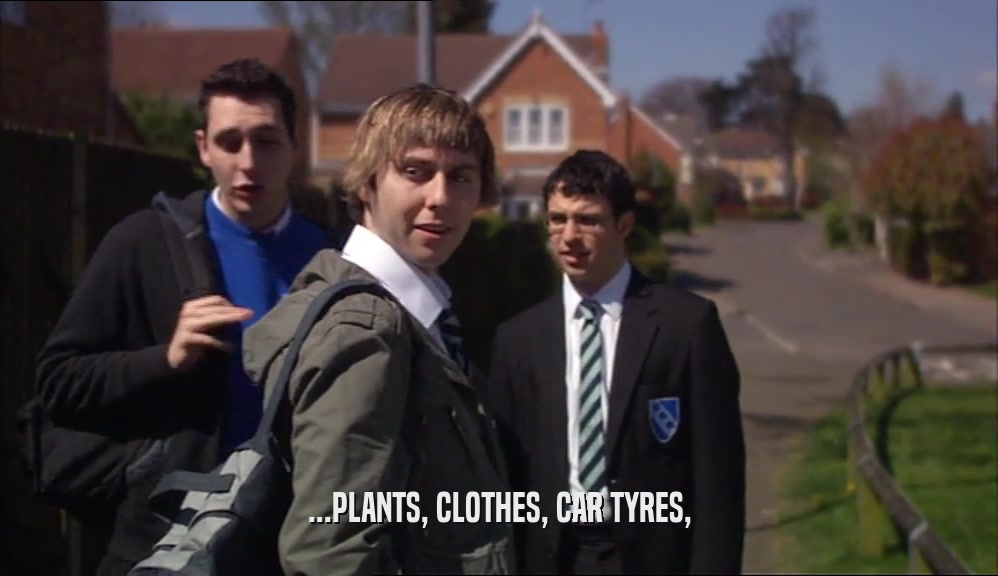 ...PLANTS, CLOTHES, CAR TYRES,  