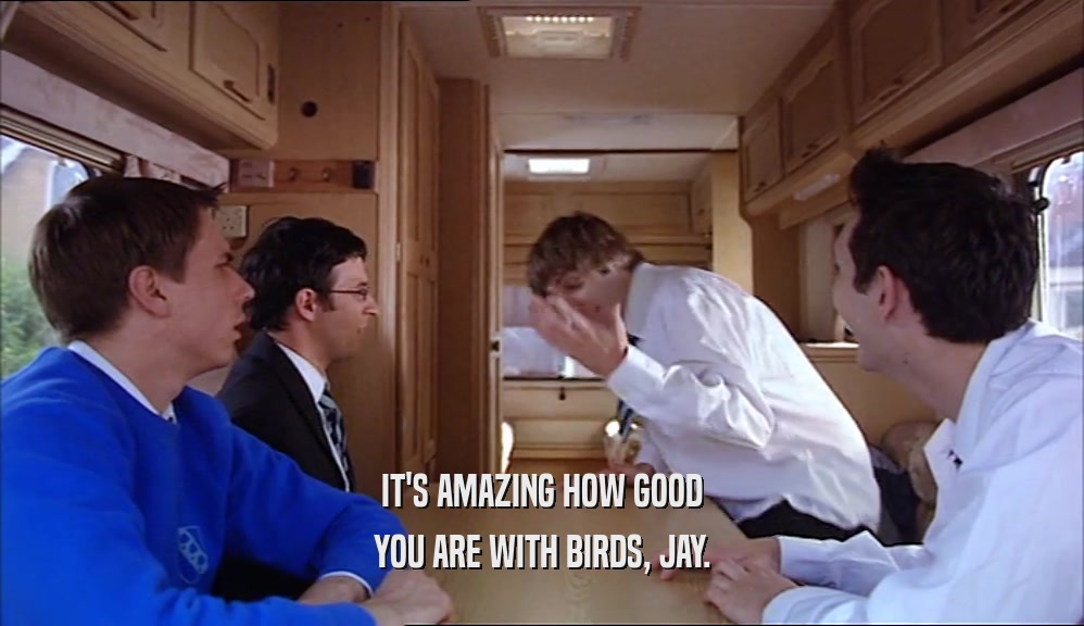 IT'S AMAZING HOW GOOD YOU ARE WITH BIRDS, JAY. 