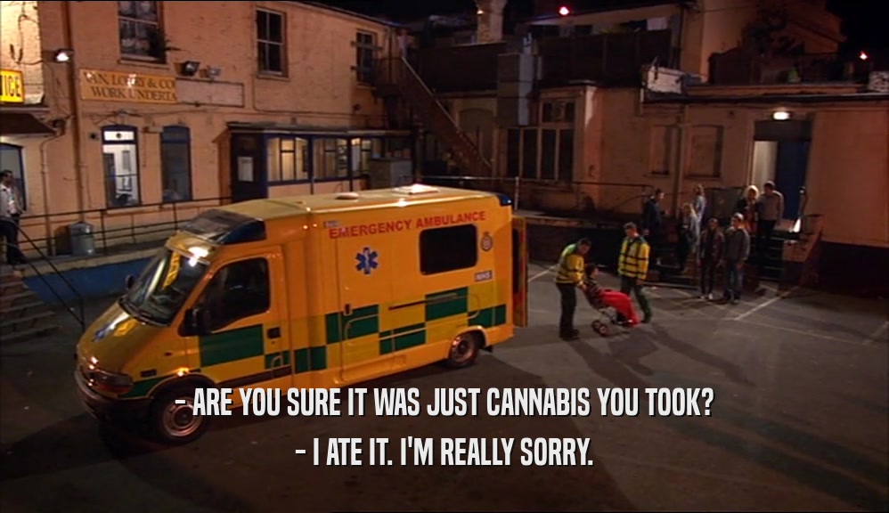 - ARE YOU SURE IT WAS JUST CANNABIS YOU TOOK? - I ATE IT. I'M REALLY SORRY. 