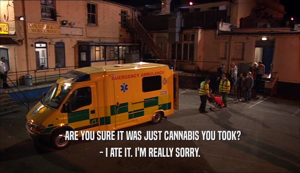 - ARE YOU SURE IT WAS JUST CANNABIS YOU TOOK? - I ATE IT. I'M REALLY SORRY. 