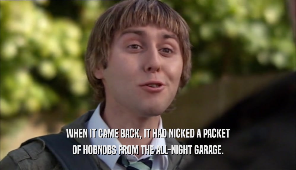 WHEN IT CAME BACK, IT HAD NICKED A PACKET OF HOBNOBS FROM THE ALL-NIGHT GARAGE. 
