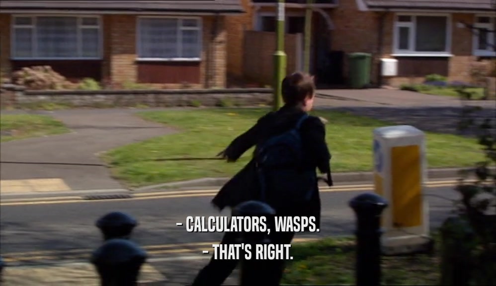 - CALCULATORS, WASPS. - THAT'S RIGHT. 
