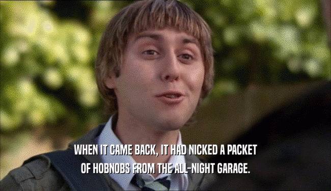 WHEN IT CAME BACK, IT HAD NICKED A PACKET OF HOBNOBS FROM THE ALL-NIGHT GARAGE. 