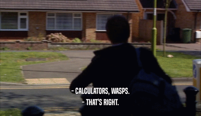 - CALCULATORS, WASPS. - THAT'S RIGHT. 