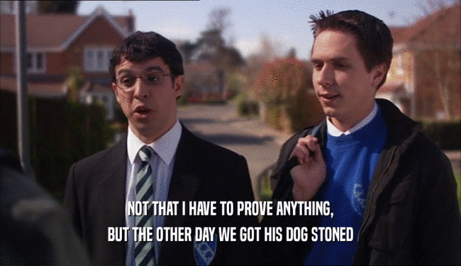 NOT THAT I HAVE TO PROVE ANYTHING, BUT THE OTHER DAY WE GOT HIS DOG STONED 