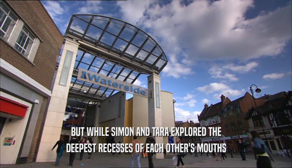 BUT WHILE SIMON AND TARA EXPLORED THE DEEPEST RECESSES OF EACH OTHER'S MOUTHS 