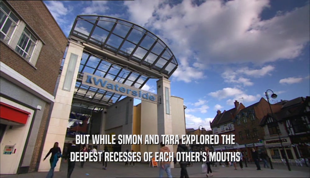 BUT WHILE SIMON AND TARA EXPLORED THE DEEPEST RECESSES OF EACH OTHER'S MOUTHS 