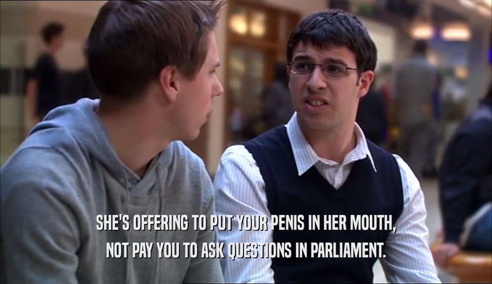 SHE'S OFFERING TO PUT YOUR PENIS IN HER MOUTH,
 NOT PAY YOU TO ASK QUESTIONS IN PARLIAMENT.
 