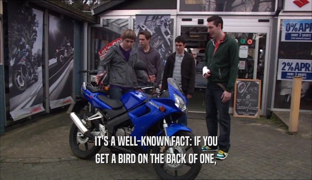 IT'S A WELL-KNOWN FACT: IF YOU GET A BIRD ON THE BACK OF ONE, 