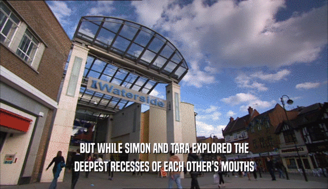 BUT WHILE SIMON AND TARA EXPLORED THE DEEPEST RECESSES OF EACH OTHER'S MOUTHS 