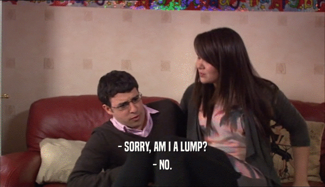 - SORRY, AM I A LUMP? - NO. 