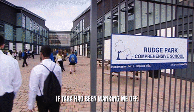 IF TARA HAD BEEN WANKING ME OFF.  