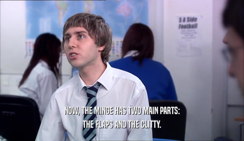 NOW, THE MINGE HAS TWO MAIN PARTS: THE FLAPS AND THE CLITTY. 
