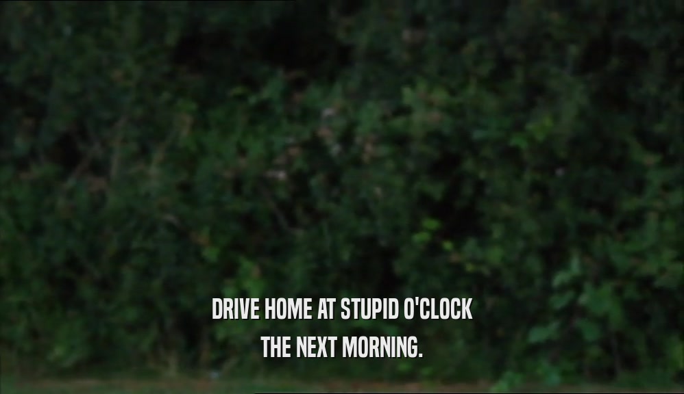 DRIVE HOME AT STUPID O'CLOCK THE NEXT MORNING. 