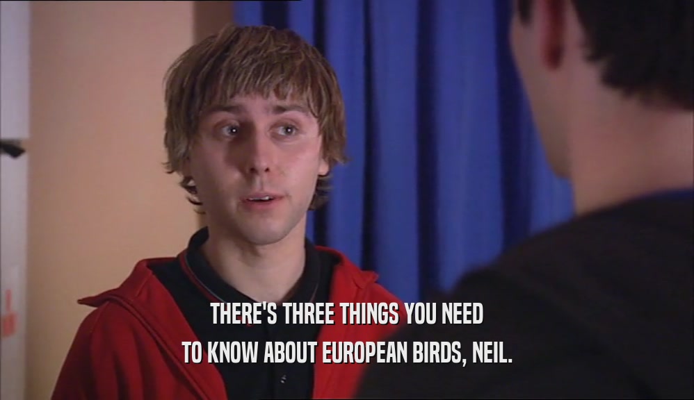 THERE'S THREE THINGS YOU NEED TO KNOW ABOUT EUROPEAN BIRDS, NEIL. 