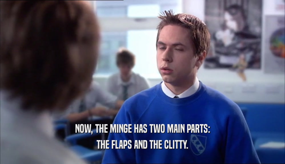 NOW, THE MINGE HAS TWO MAIN PARTS: THE FLAPS AND THE CLITTY. 