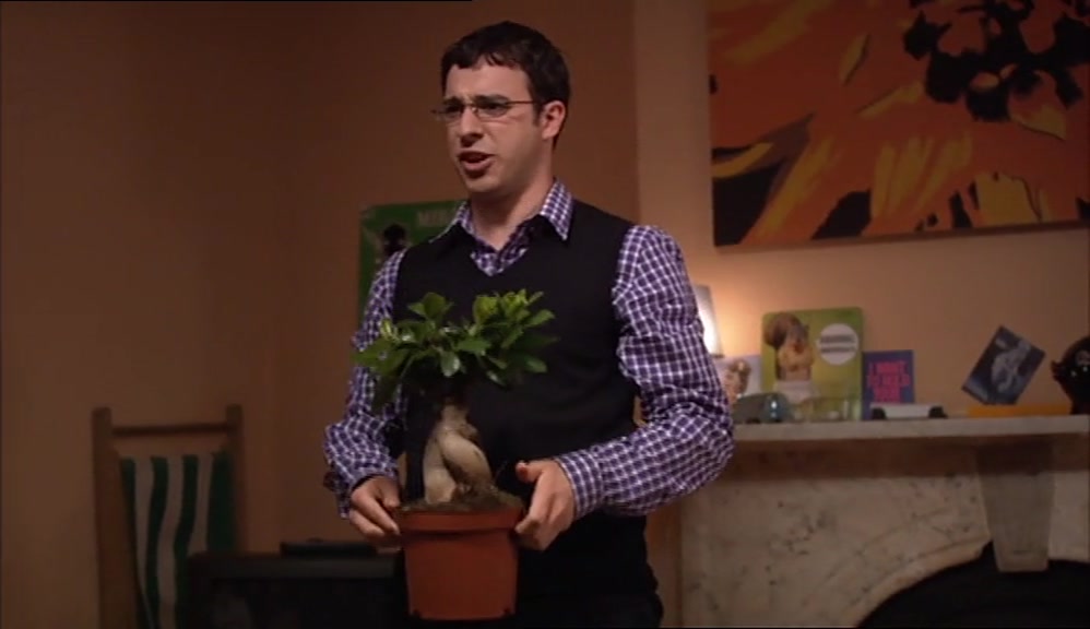THIS BONSAI TREE, I AUTOMATICALLY BECOME FUN AND INTERESTING, DO I? 