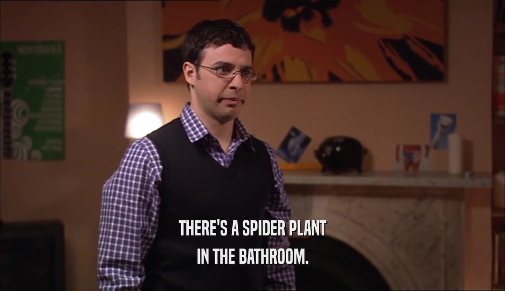 THERE'S A SPIDER PLANT IN THE BATHROOM. 
