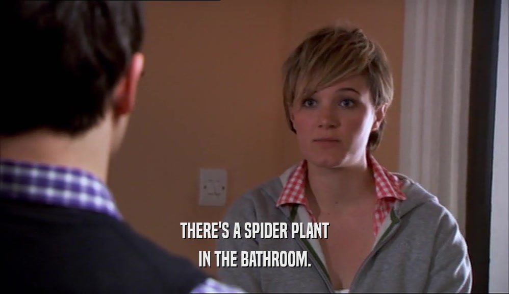 THERE'S A SPIDER PLANT IN THE BATHROOM. 