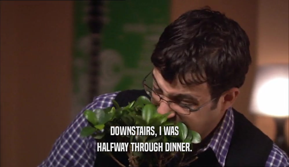 DOWNSTAIRS, I WAS HALFWAY THROUGH DINNER. 