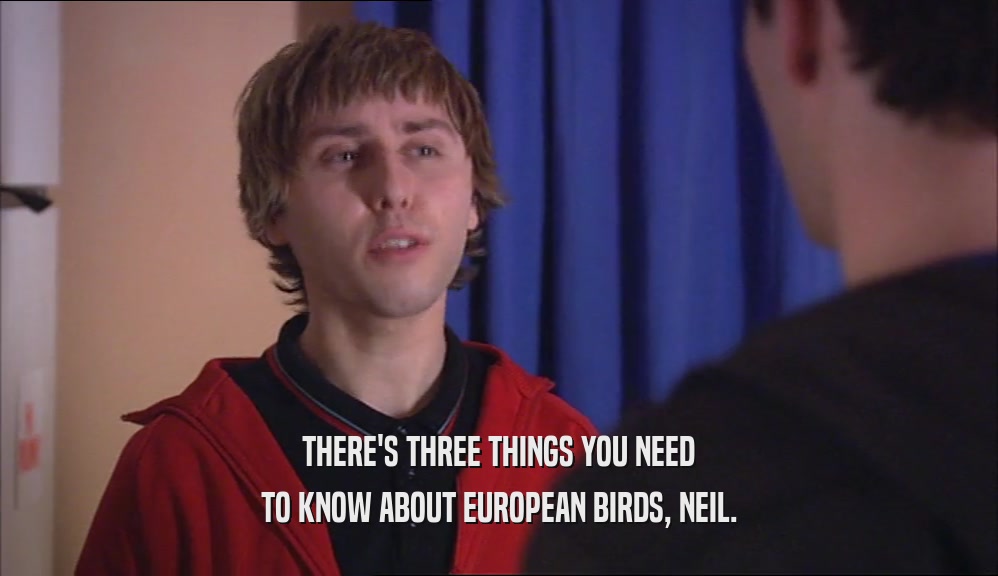 THERE'S THREE THINGS YOU NEED TO KNOW ABOUT EUROPEAN BIRDS, NEIL. 