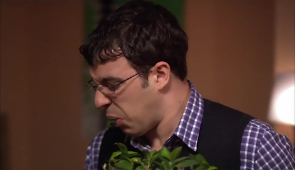 UNFORTUNATELY, IT TURNS OUT BONSAI DOESN'T MEAN 