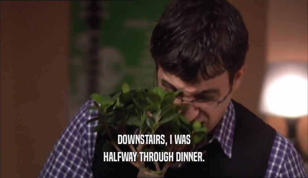 DOWNSTAIRS, I WAS HALFWAY THROUGH DINNER. 