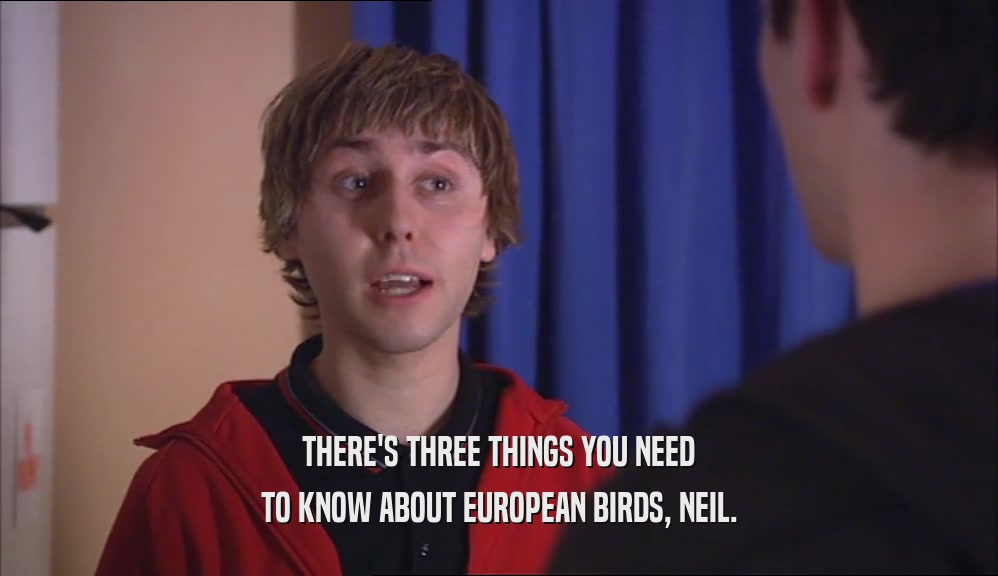 THERE'S THREE THINGS YOU NEED TO KNOW ABOUT EUROPEAN BIRDS, NEIL. 