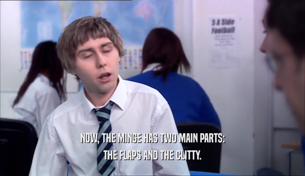 NOW, THE MINGE HAS TWO MAIN PARTS: THE FLAPS AND THE CLITTY. 