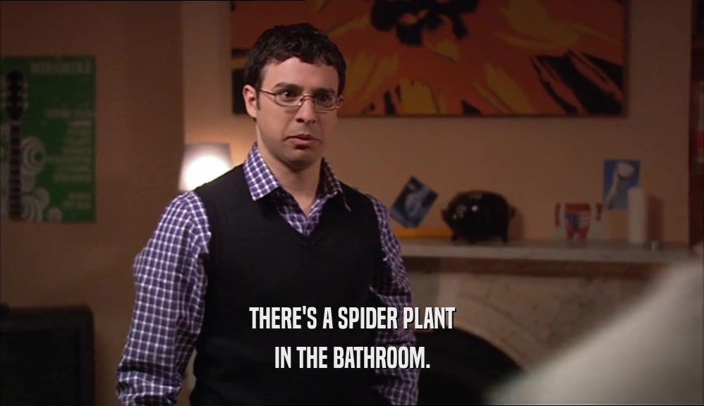 THERE'S A SPIDER PLANT IN THE BATHROOM. 