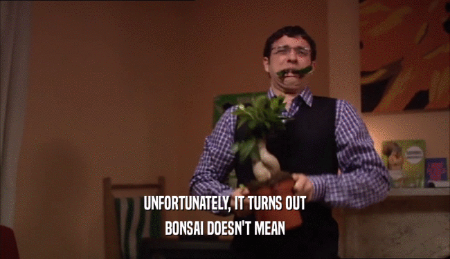 UNFORTUNATELY, IT TURNS OUT
 BONSAI DOESN'T MEAN
 