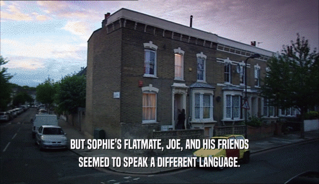 BUT SOPHIE'S FLATMATE, JOE, AND HIS FRIENDS SEEMED TO SPEAK A DIFFERENT LANGUAGE. 