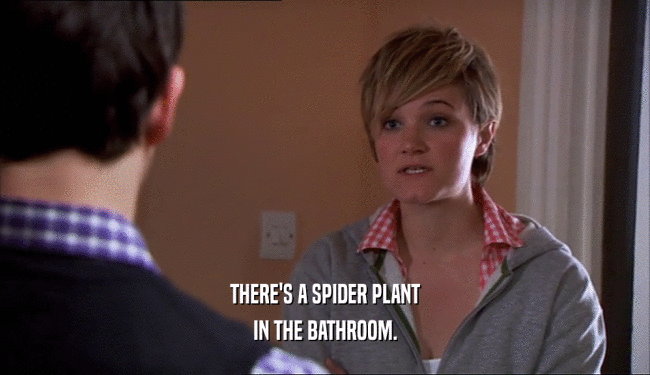 THERE'S A SPIDER PLANT
 IN THE BATHROOM.
 