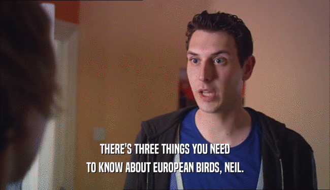 THERE'S THREE THINGS YOU NEED TO KNOW ABOUT EUROPEAN BIRDS, NEIL. 