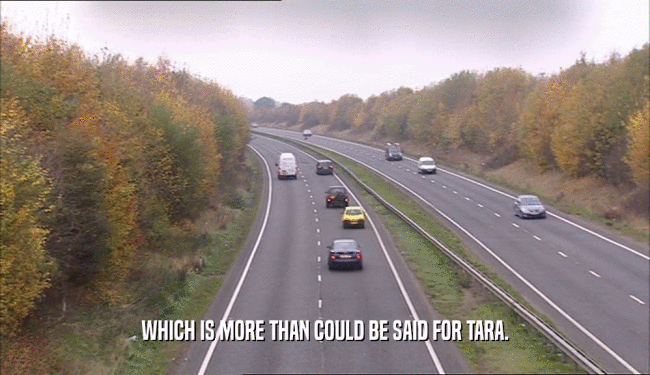 WHICH IS MORE THAN COULD BE SAID FOR TARA.  
