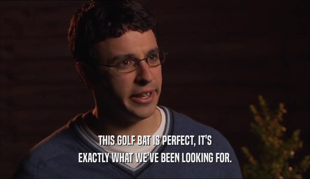THIS GOLF BAT IS PERFECT, IT'S EXACTLY WHAT WE'VE BEEN LOOKING FOR. 